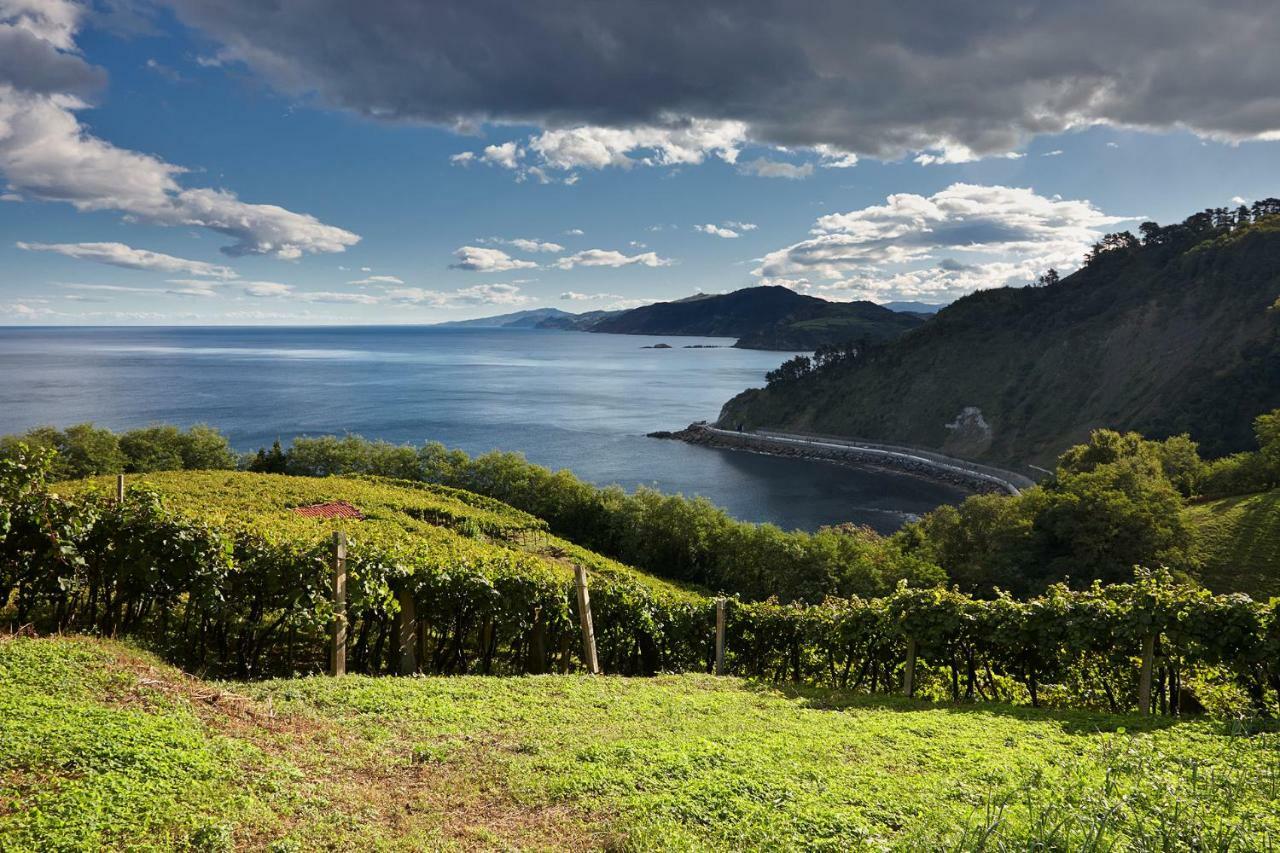 Apartamento Aterian Muskaria Zarautz Exterior foto